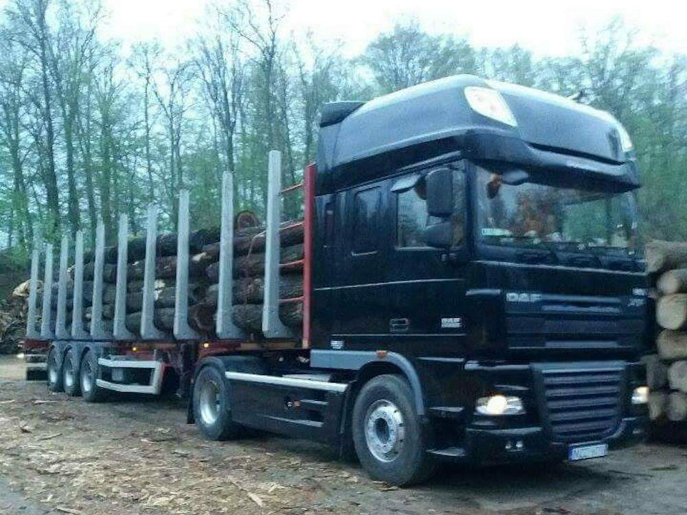 Forest Cargo